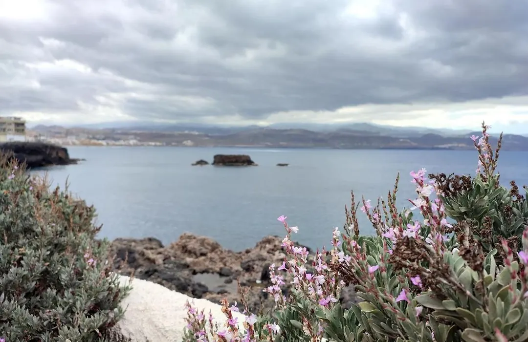 Las Canteras Suite-1