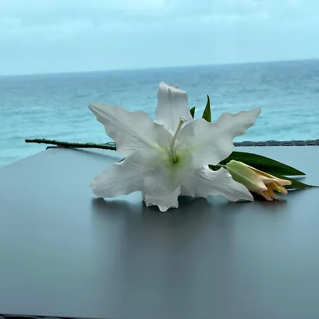 Hermoso edificio Frente al mar con gran terraza y hermosas vistas-3