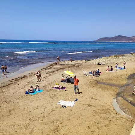Mirlo canteras-2
