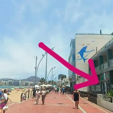 Vibe ,Wifi ,Espacio trabajo,Playa ,Ocio-3