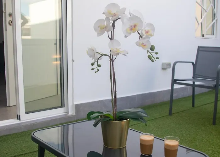 Violeta Suite Las Palmas de Gran Canaria