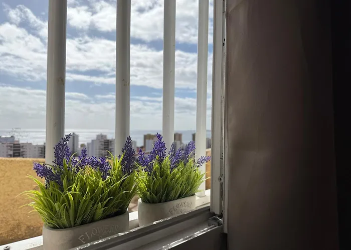 Casita Evisuit Las Palmas de Gran Canaria