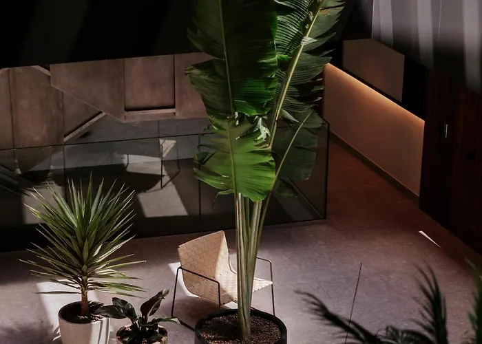 TocToc Suites Olof Palme - Viviendas Vacacionales Las Palmas de Gran Canaria