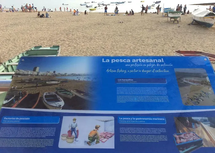 Las Canteras Beach Las Palmas de Gran Canaria