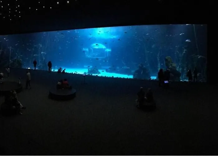 Las Canteras Aquarium Las Palmas de Gran Canaria